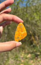 Charger l'image dans la galerie, Jaspe Bumblebee 24