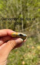 Charger l'image dans la galerie, Jaspe Bumblebee 34