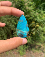 Charger l'image dans la galerie, Chrysocolle 22