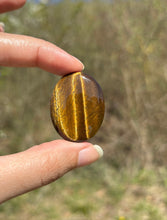 Charger l'image dans la galerie, Oeil de tigre 85