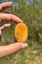 Charger l'image dans la galerie, Jaspe Bumblebee 29