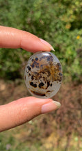 Charger l'image dans la galerie, Agate du Montana 2