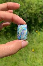 Charger l'image dans la galerie, Abalone 80