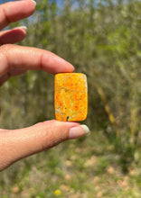 Charger l'image dans la galerie, Jaspe Bumblebee 31