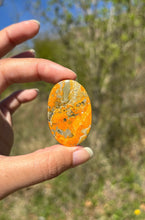 Charger l'image dans la galerie, Jaspe Bumblebee 32