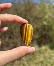 Charger l'image dans la galerie, Oeil de tigre 83