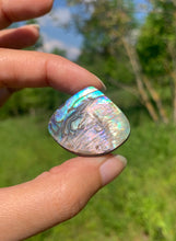 Charger l'image dans la galerie, Abalone 57
