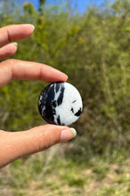 Charger l'image dans la galerie, Jaspe Zebré 2