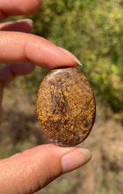 Charger l'image dans la galerie, Bronzite 31