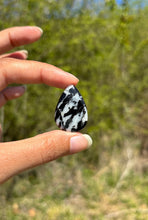 Charger l'image dans la galerie, Jaspe Zebré 16