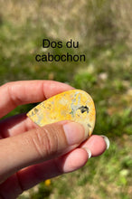 Charger l'image dans la galerie, Jaspe Bumblebee 21
