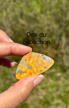 Charger l'image dans la galerie, Jaspe Bumblebee 24