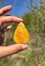 Charger l'image dans la galerie, Jaspe Bumblebee 21