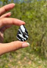 Charger l'image dans la galerie, Jaspe Zebré 1