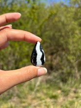 Charger l'image dans la galerie, Jaspe Zebré 15