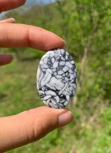 Charger l'image dans la galerie, Pinolite 13