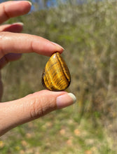 Charger l'image dans la galerie, Oeil de tigre 87