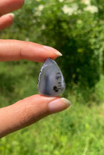 Charger l'image dans la galerie, VENDU Agate dendritique 38