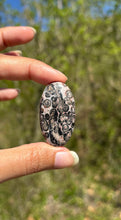 Charger l'image dans la galerie, Jaspe Léopard 9