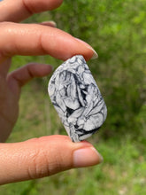 Charger l'image dans la galerie, Pinolite 15