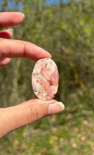 Charger l'image dans la galerie, Jaspe oeil d'oiseau 3