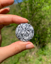 Charger l'image dans la galerie, Pinolite 8