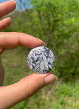 Charger l'image dans la galerie, Pinolite 14