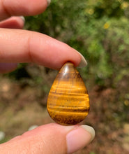 Charger l'image dans la galerie, VENDU Oeil de tigre 53