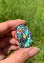 Charger l'image dans la galerie, Abalone 67