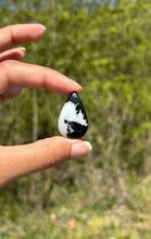 Charger l'image dans la galerie, Jaspe Zebré 14