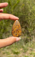 Charger l'image dans la galerie, Jaspe Mariam 22