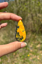 Charger l'image dans la galerie, Jaspe Bumblebee 35