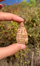 Charger l'image dans la galerie, Calcite 15