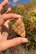 Charger l'image dans la galerie, Calcite 12