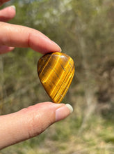 Charger l'image dans la galerie, Oeil de tigre 64