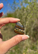 Charger l'image dans la galerie, Oeil de fer 14