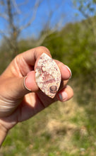 Charger l'image dans la galerie, Jaspe oeil d'oiseau 9