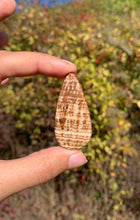 Charger l'image dans la galerie, Calcite 19