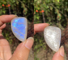 Charger l'image dans la galerie, Labradorite blanche d'Afrique 53