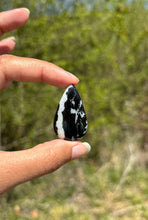 Charger l'image dans la galerie, Jaspe Zebré 13