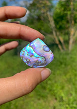 Charger l'image dans la galerie, Abalone 60