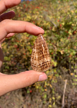 Charger l'image dans la galerie, Calcite 14