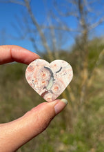 Charger l'image dans la galerie, Jaspe oeil d'oiseau 2