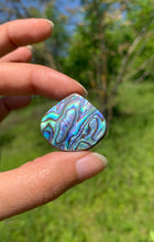 Charger l'image dans la galerie, Abalone 71