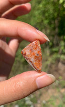 Charger l'image dans la galerie, Agate Crazy Lace 16