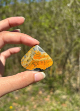 Charger l'image dans la galerie, Jaspe Bumblebee 34