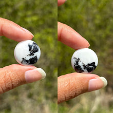 Charger l'image dans la galerie, Jaspe Zebré 11