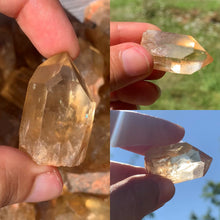 Charger l'image dans la galerie, Citrine brut 16