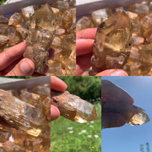 Charger l'image dans la galerie, Citrine brut 30