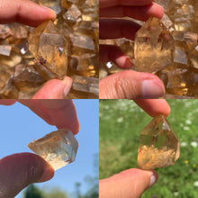Charger l'image dans la galerie, Citrine brut 31